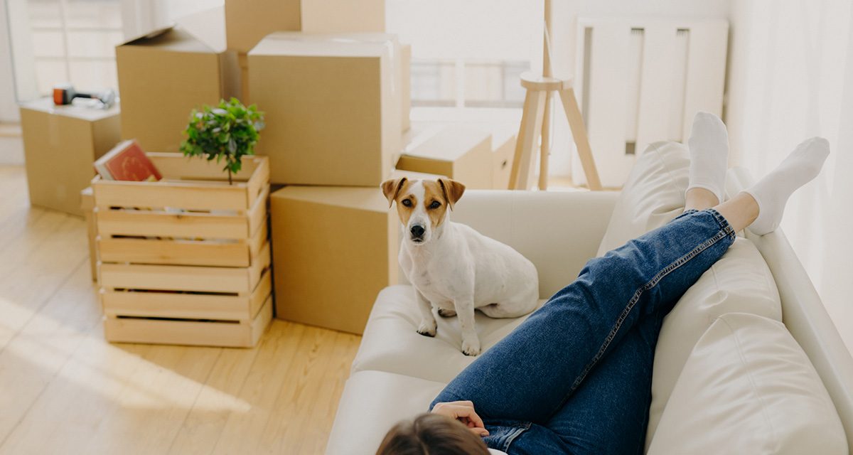 Unlocking Value: How On-Time Rent Reporting Benefits Tenants and Property Managers