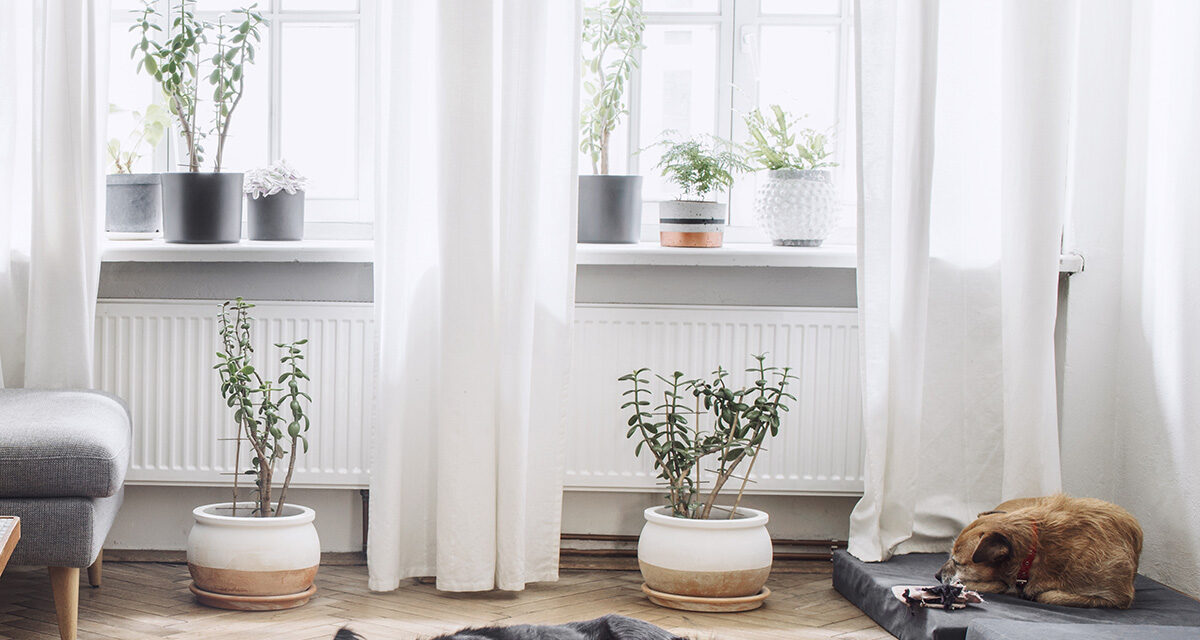 FCRA Compliance for Property Managers: Full Rent Reporting Guide